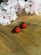 Mini haarelastiekjes | Lieveheersbeestje